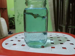 2 Piece Guppy Fish
