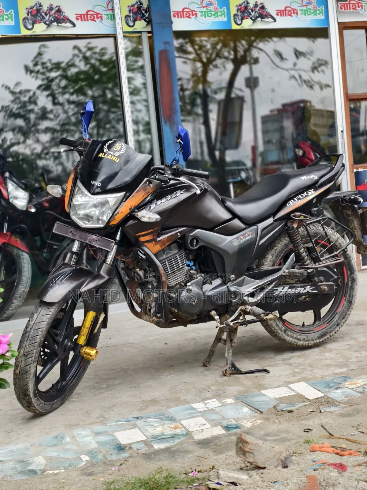 হিরো হাঙ্ক ২০১৭ ব্রাউন