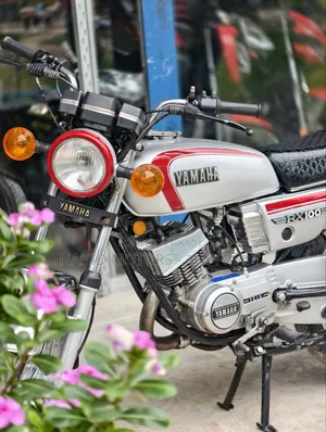 Yamaha 1995 Silver
