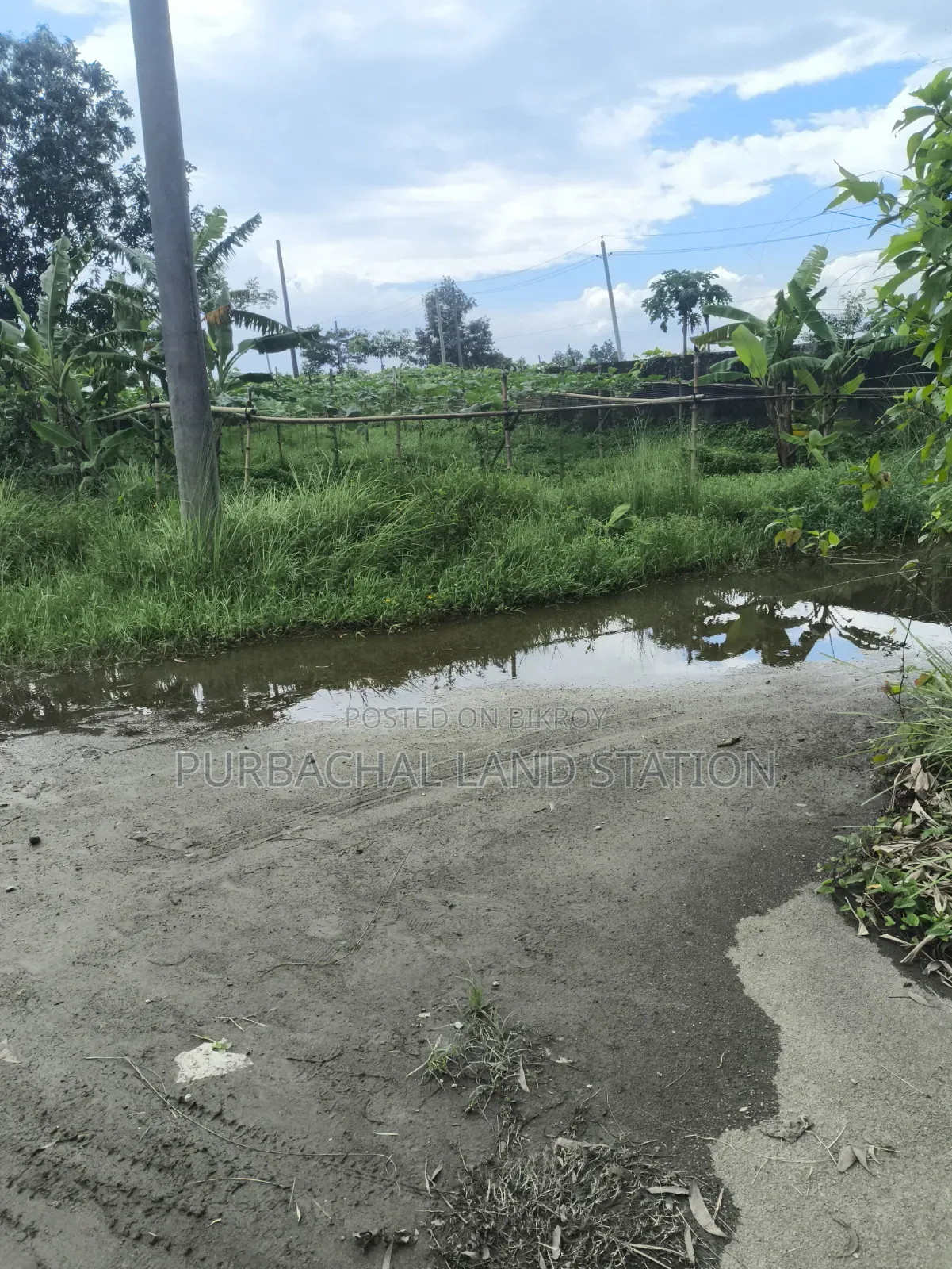 54Ft Road  South-East Corner 3 Katha Plot Sale in Sector:20,Purbachal