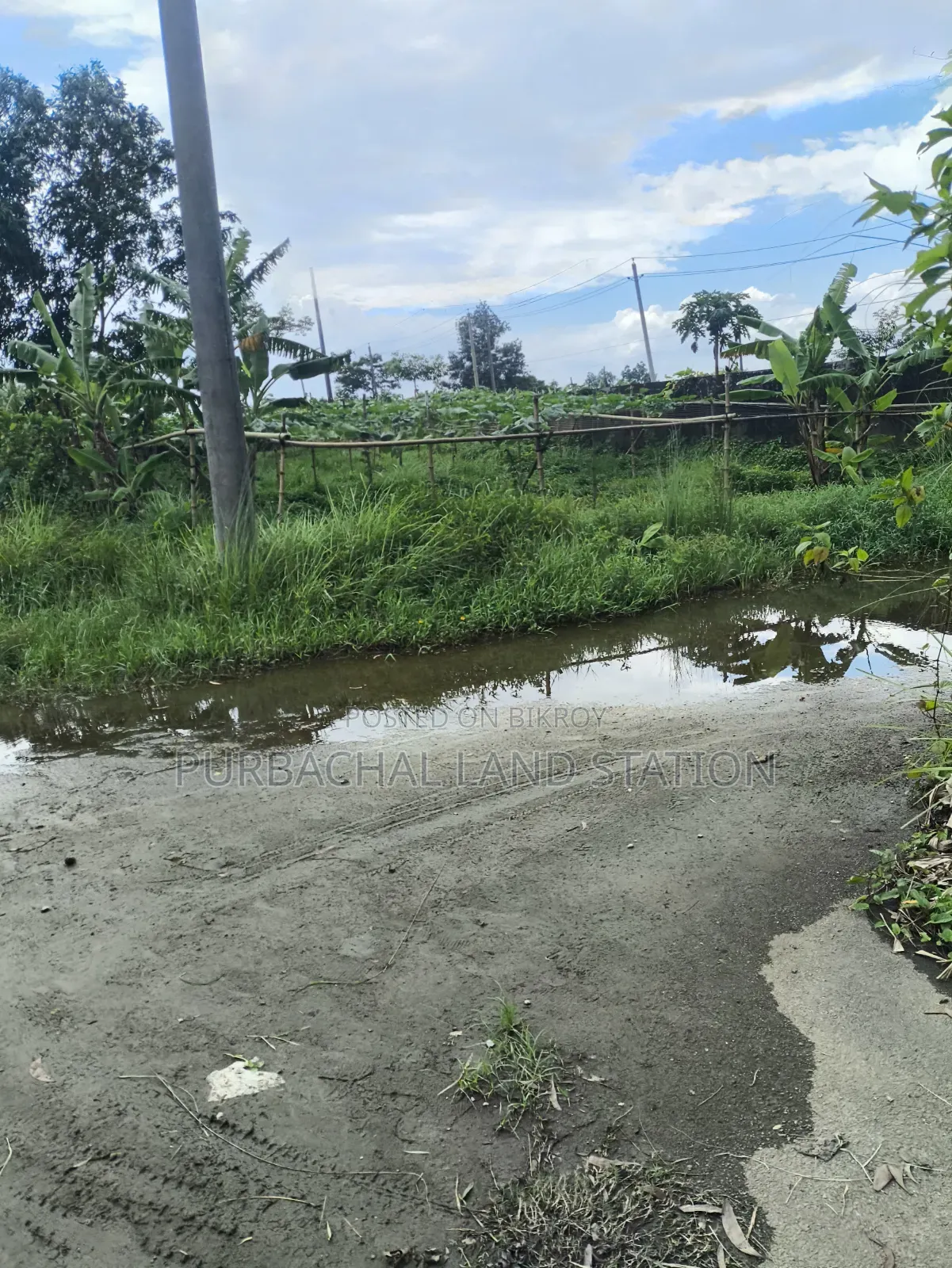 54Ft Road  South-East Corner 3 Katha Plot Sale in Sector:20,Purbachal
