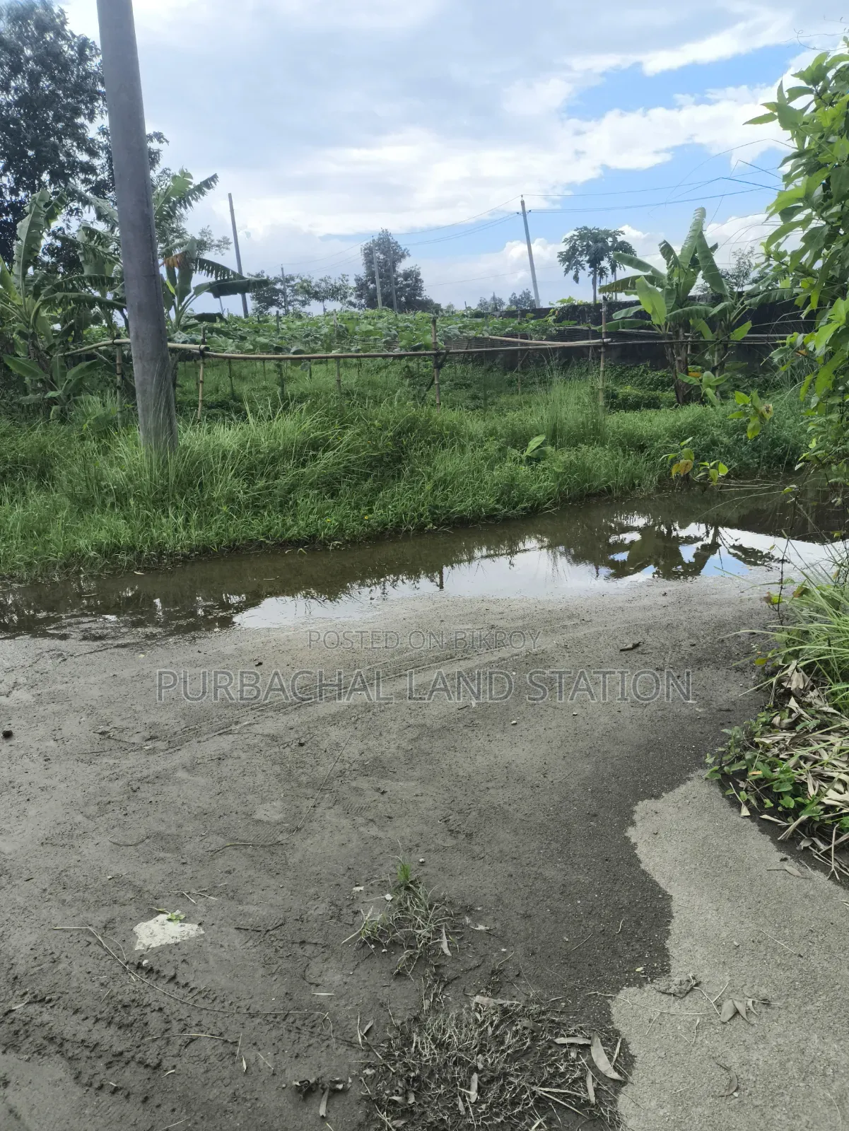 54Ft Road  South-East Corner 3 Katha Plot Sale in Sector:20,Purbachal