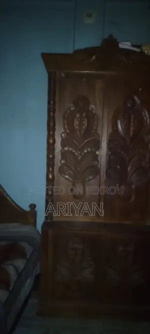 দুই দরজার আলমারি