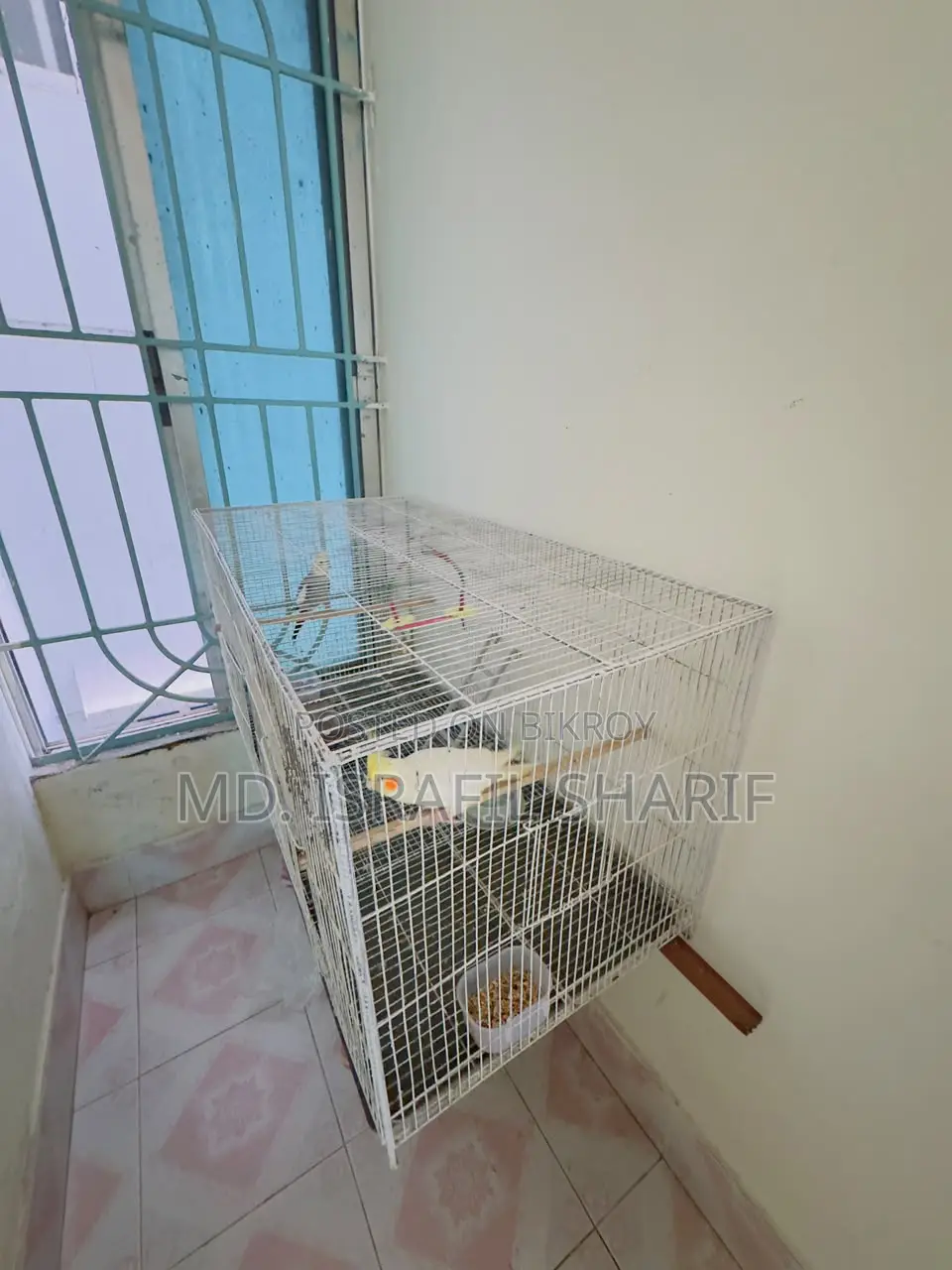 2 in 1 Bird Cage