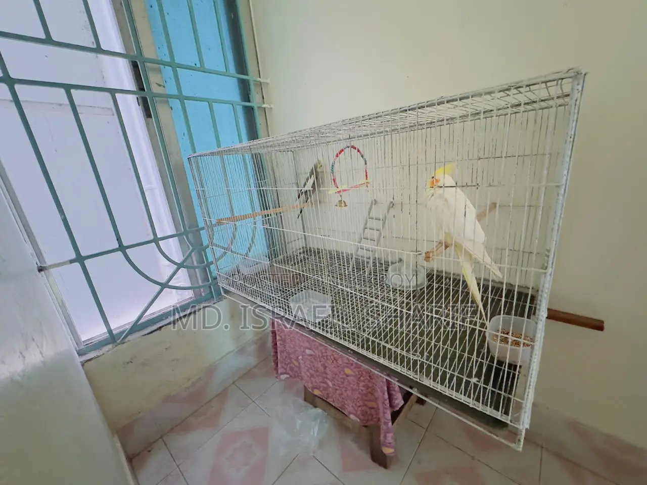 2 in 1 Bird Cage