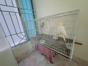 2 in 1 Bird Cage