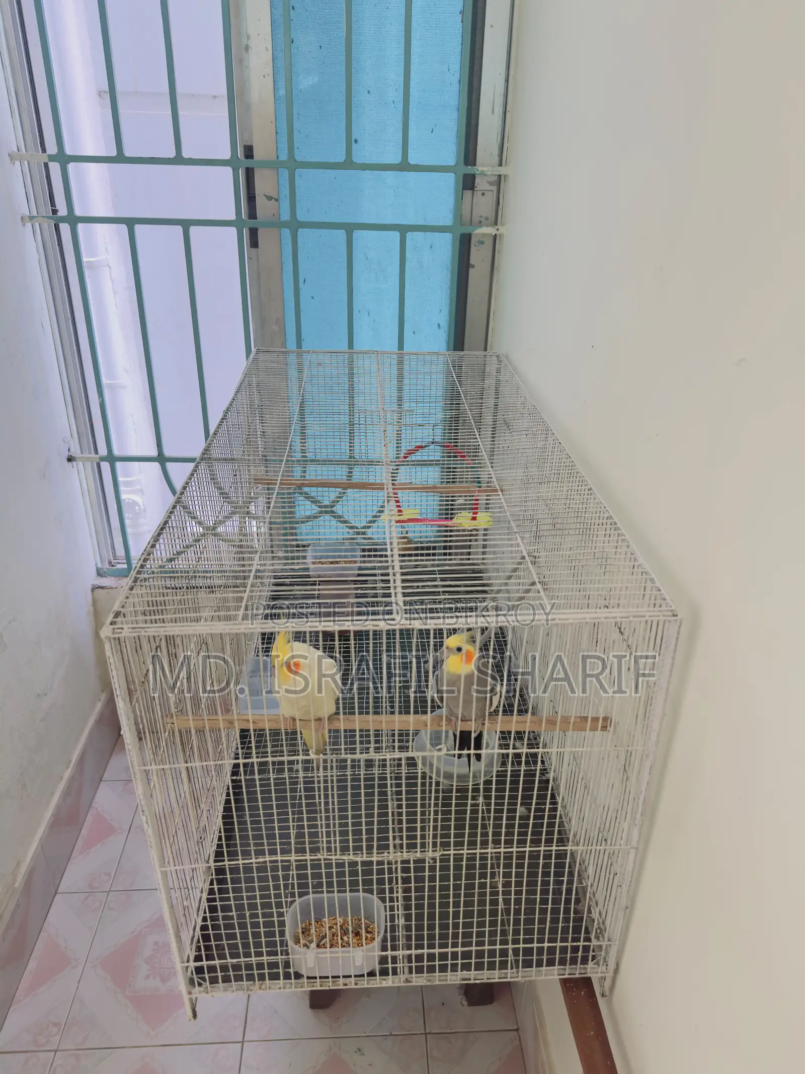 2 in 1 Bird Cage