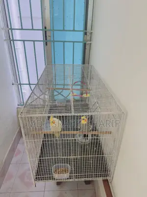 2 in 1 Bird Cage