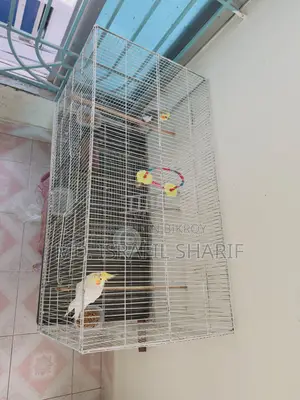 2 in 1 Bird Cage