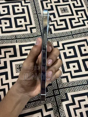 Apple iPhone 14 Pro Max 256 GB Silver