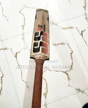 SS Kashmiri Willow Bat (Used)