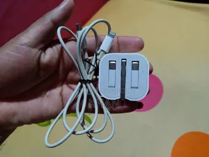 Apple Original Charger and Cable