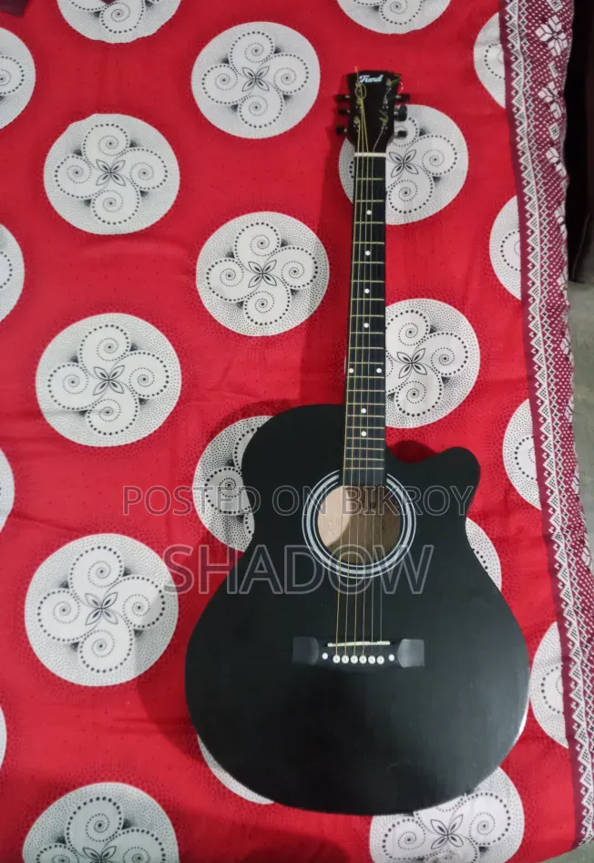 Trend-Td Acoustic Guitar