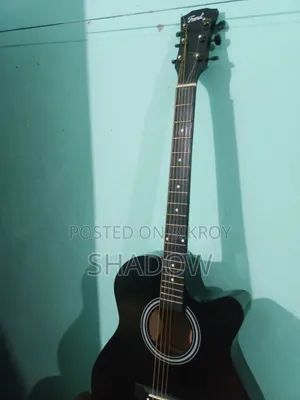 Trend-Td Acoustic Guitar
