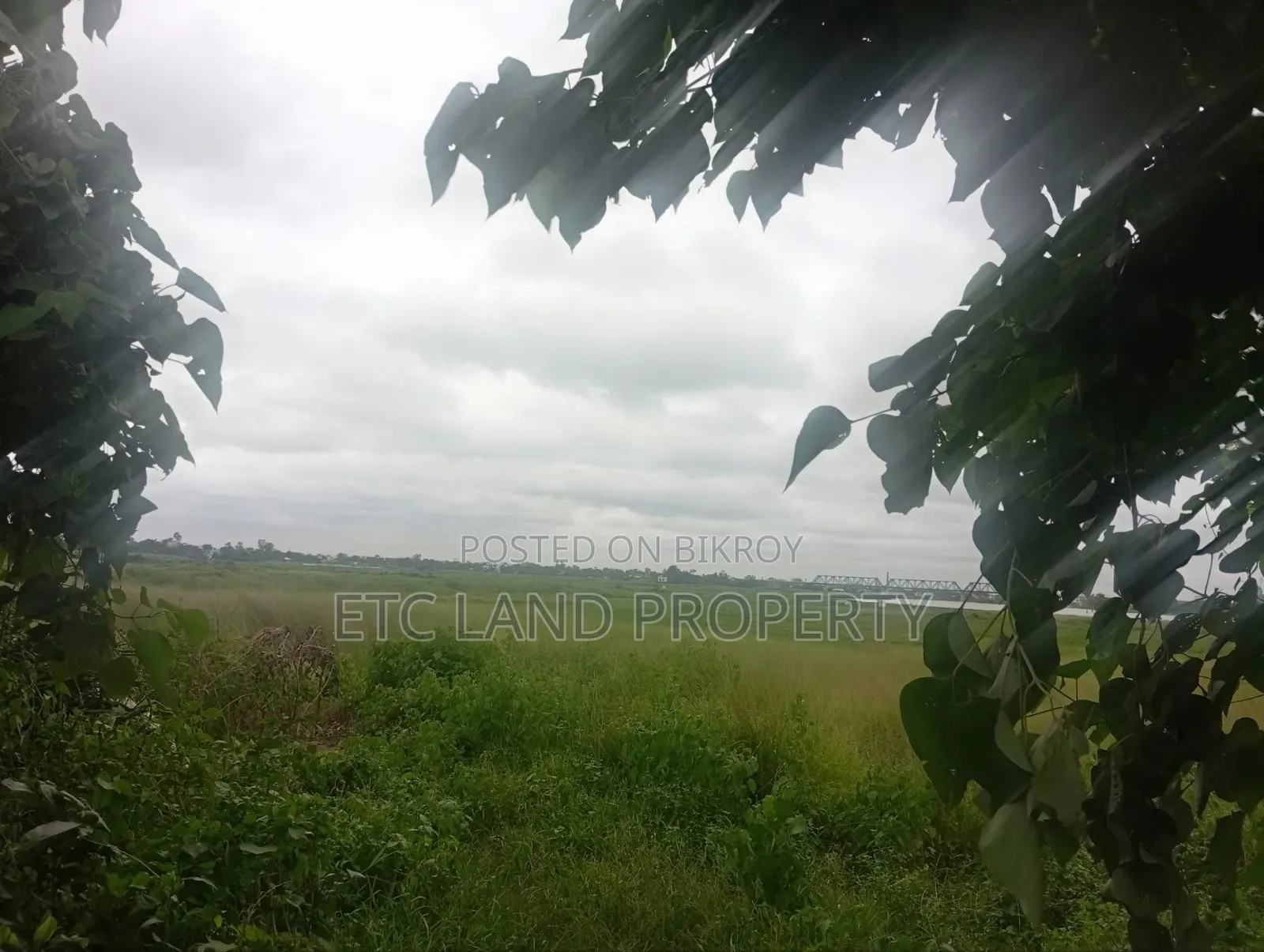 Plot for Sale
