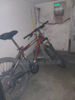 Bicycle Size 24