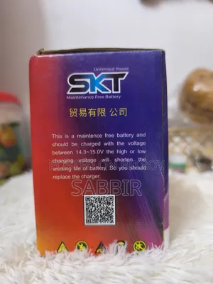 12v SKT Bike Battery