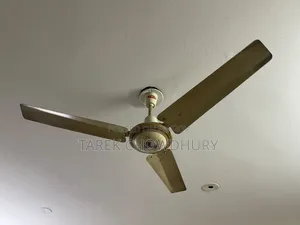 Osaka Pakistani Fan