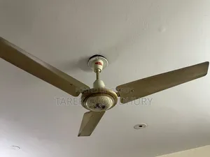 Osaka Pakistani Fan