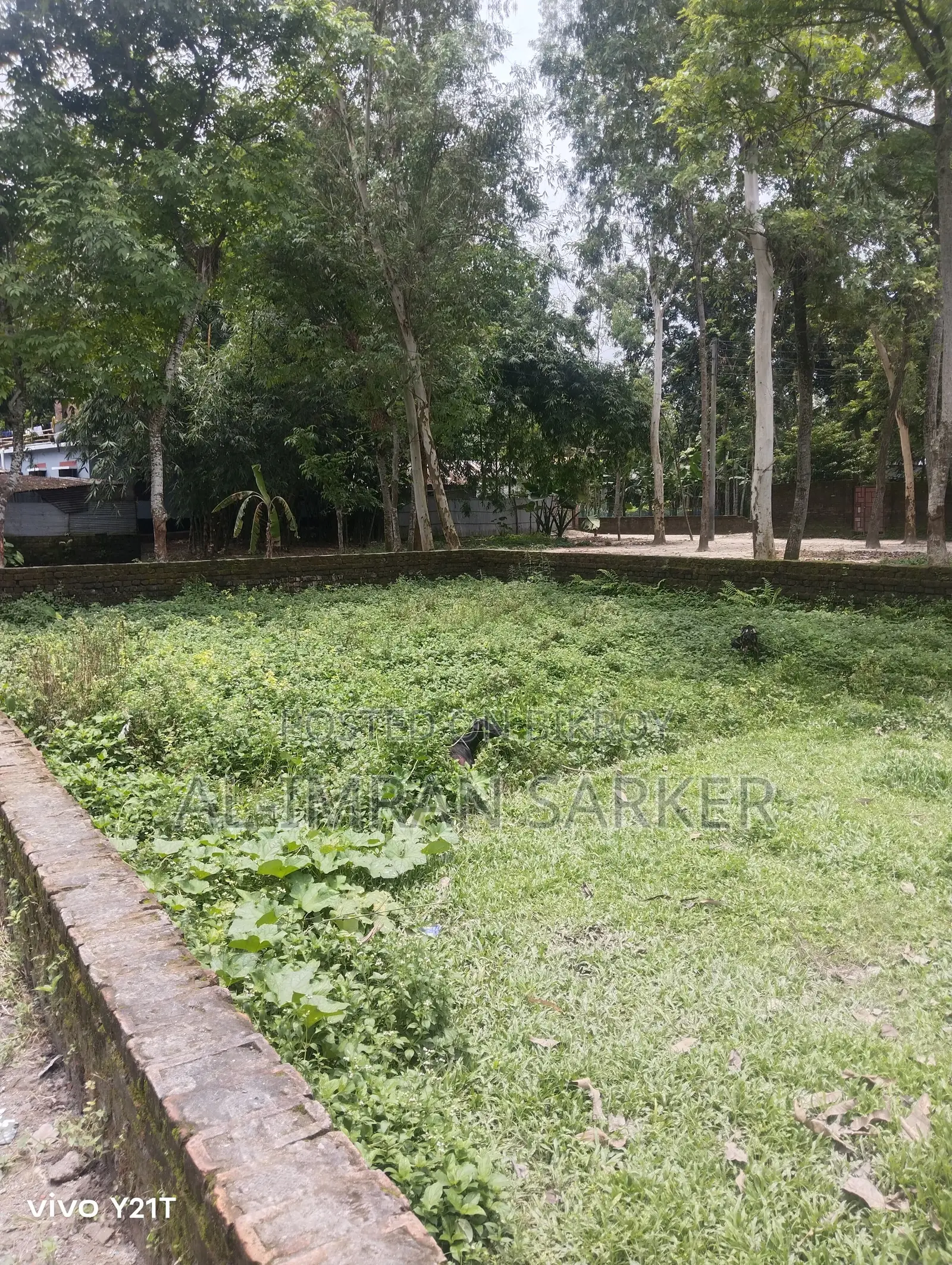 রংপুর ক্যান্টনমেন্ট ৩নং চেকপোস্ট সংলগ্ন ৩শতক জমি বিক্রয় করা হবে