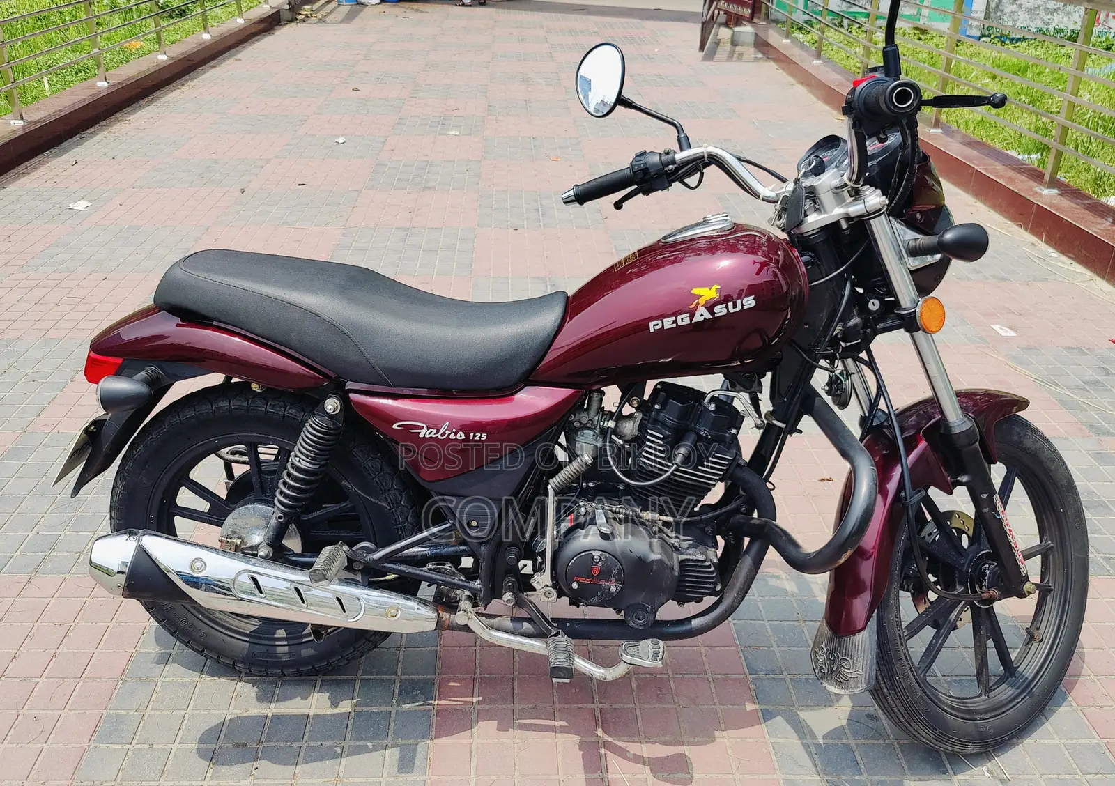 Pegasus Fabio 125 2026 Red