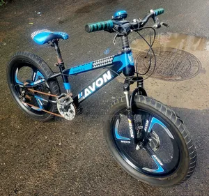 Avon 20 Size 7/1 Gear Baby Cycle