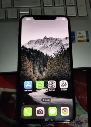 Apple iPhone XS Max 256 GB Gold