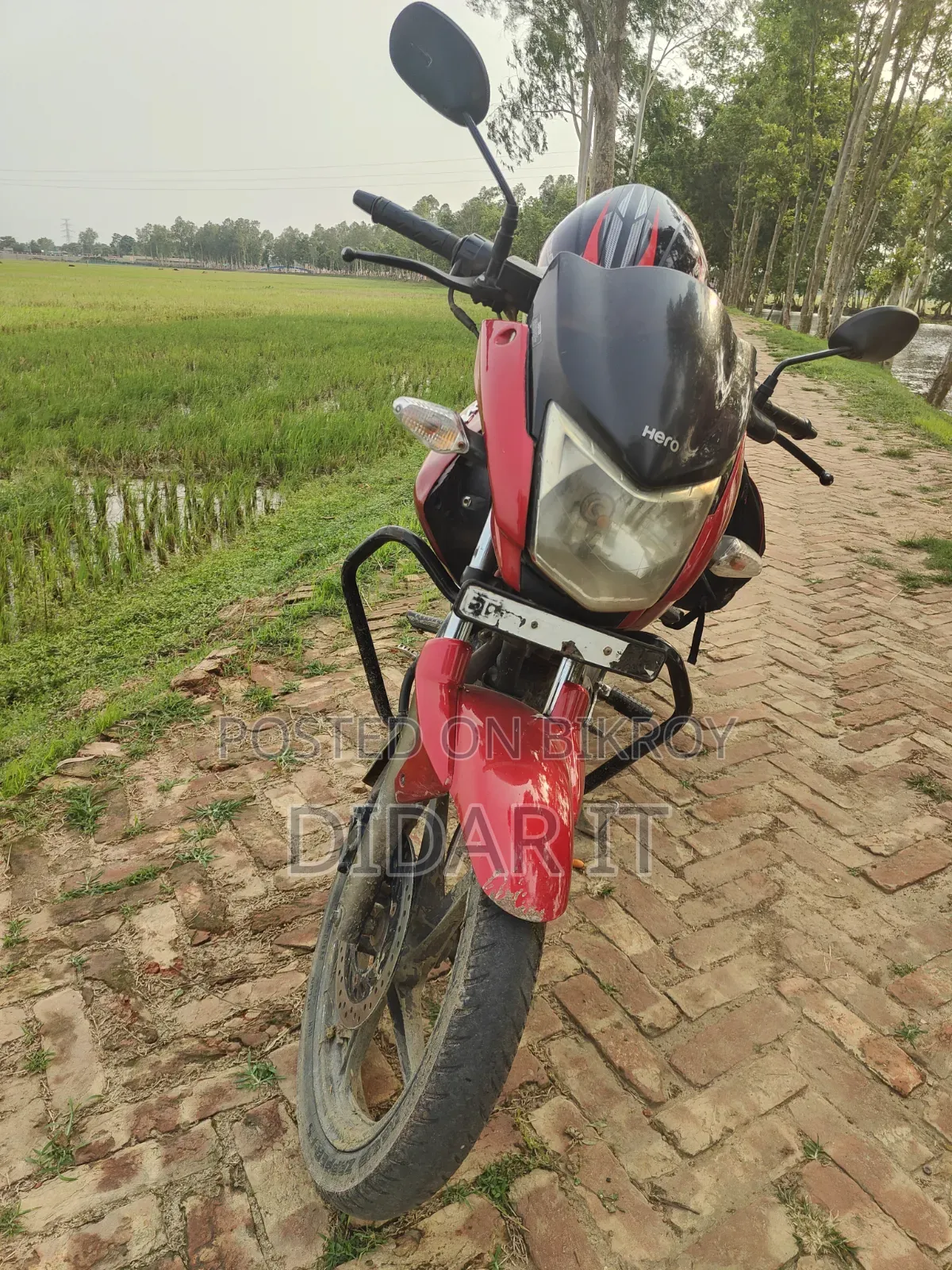 হিরো হাঙ্ক ১৫০ ২০১০ লাল