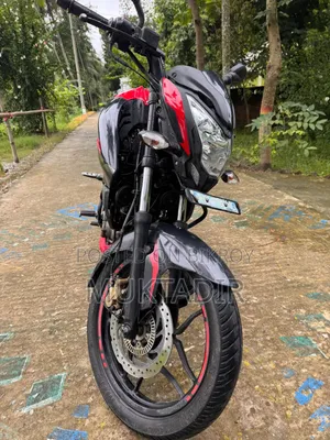 বাজাজ পালসার এনএস ১৬০ ২০১৯ রেড