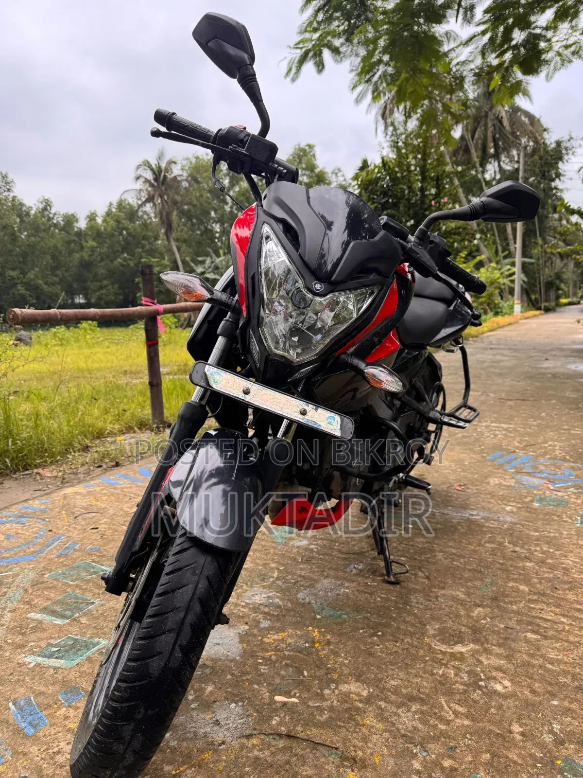 বাজাজ পালসার এনএস ১৬০ ২০১৯ রেড