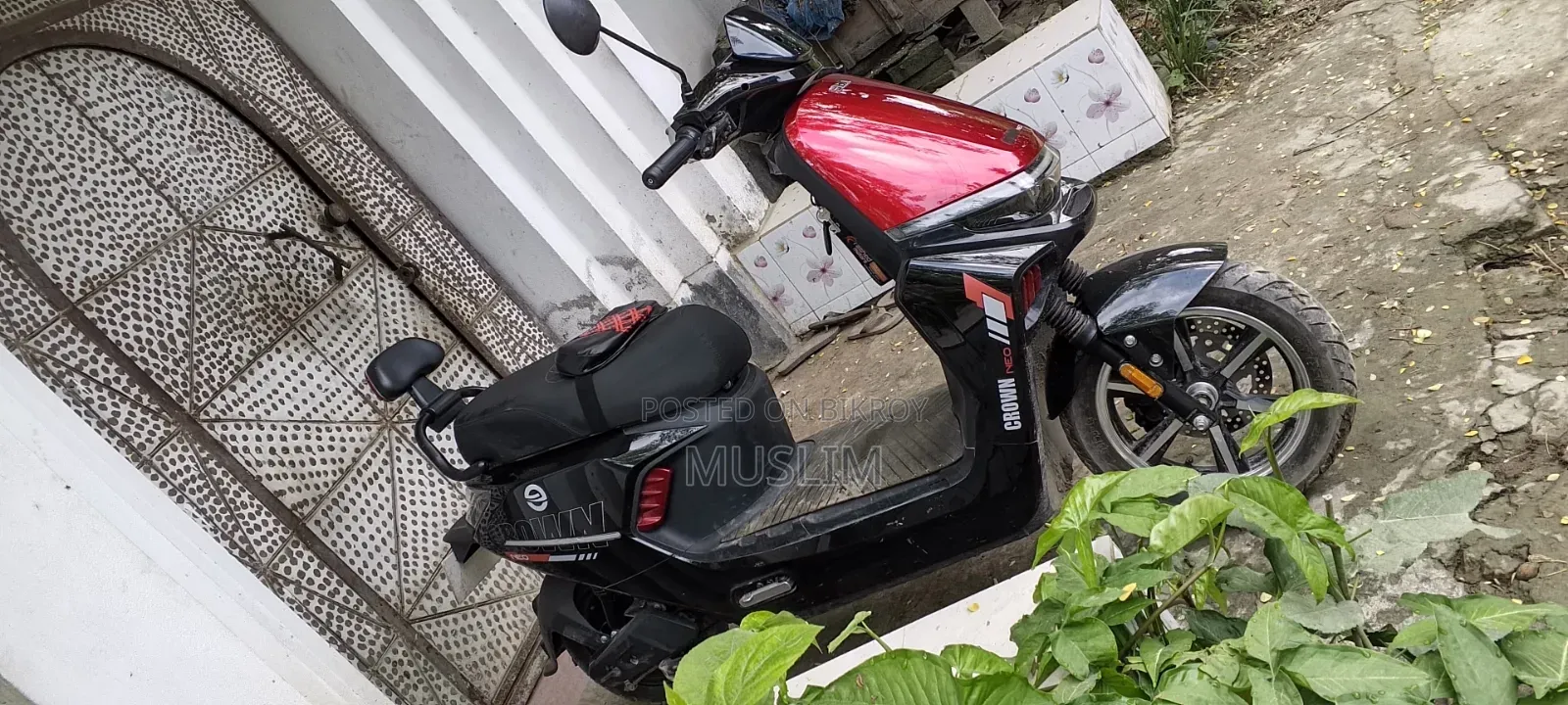 Zongshen Win100 2026 Red