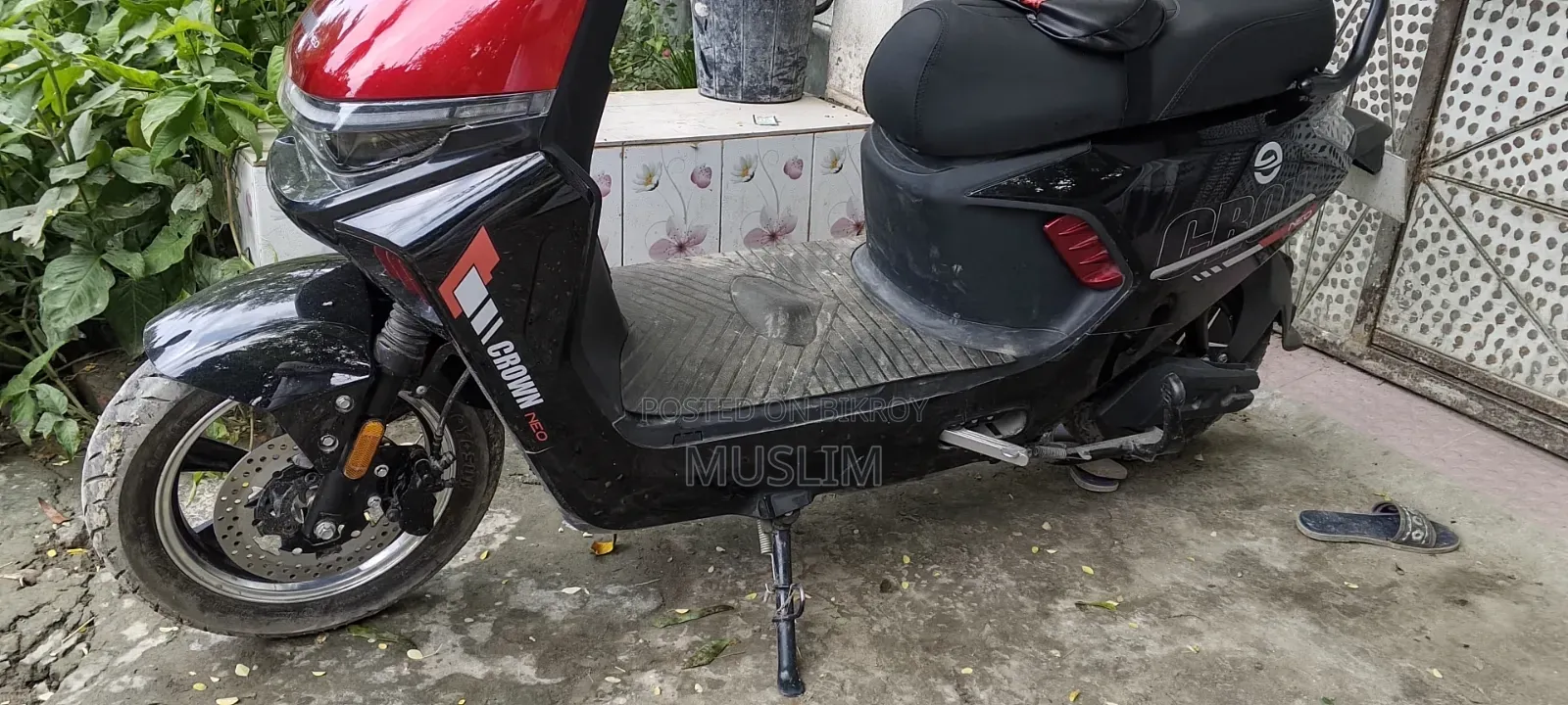 Zongshen Win100 2026 Red