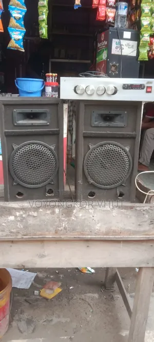 ১০ ইঞ্চি স্পিকার বক্সসহ