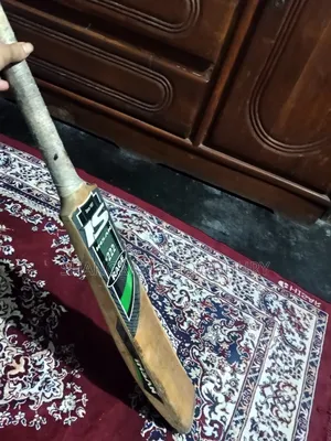Cricket Bat