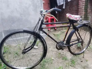 China Cycle