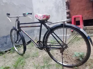China Cycle