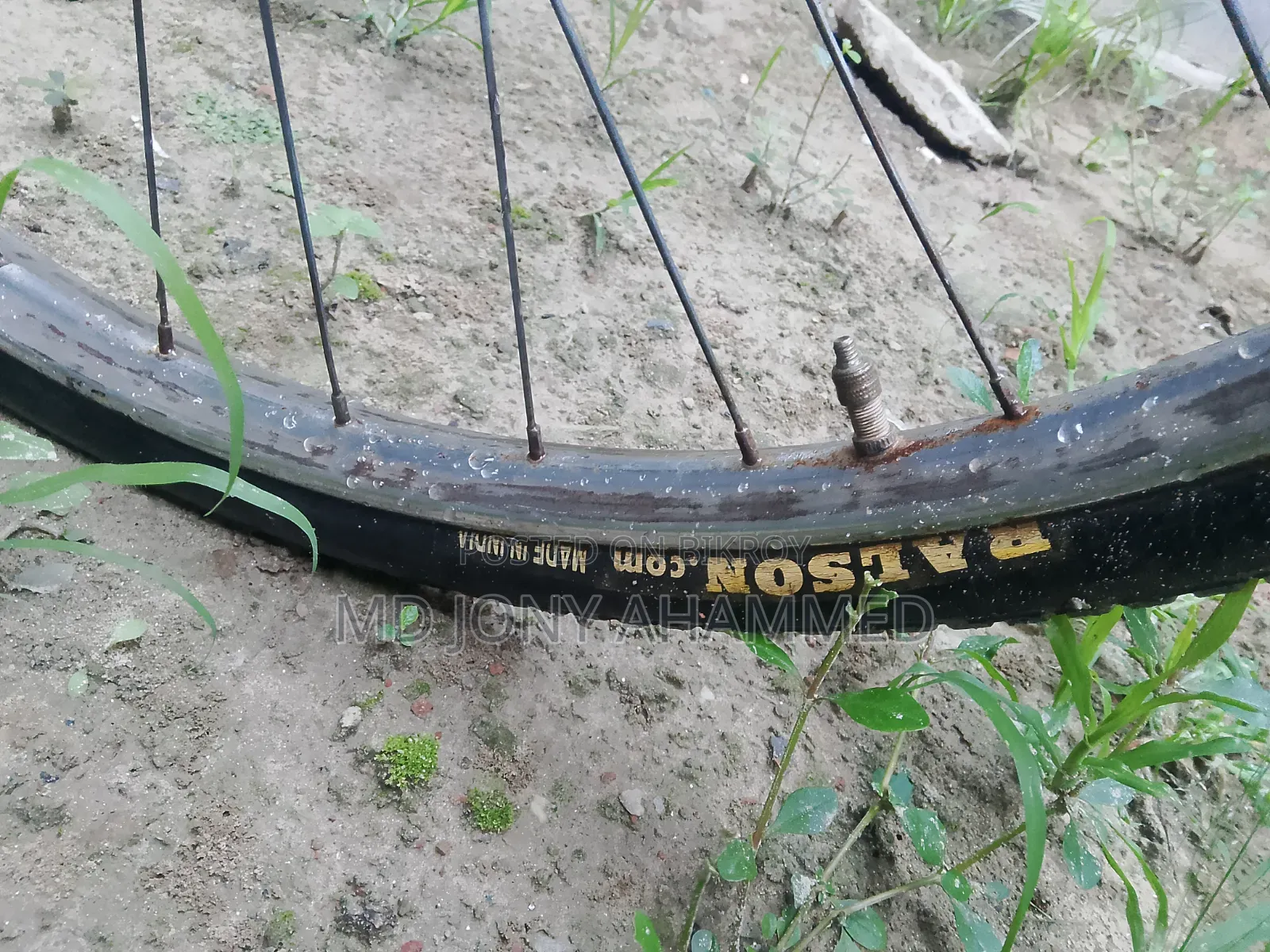 China Cycle