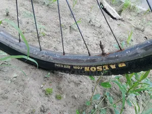 China Cycle
