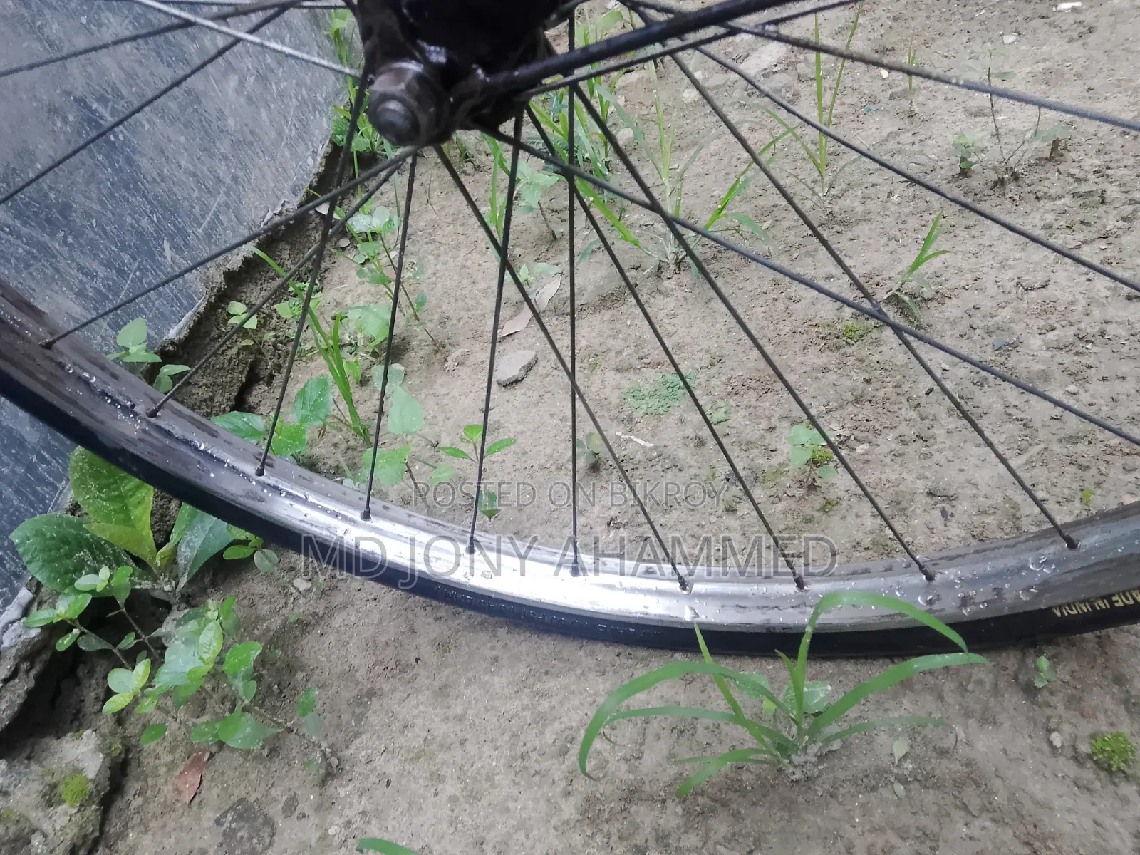 China Cycle