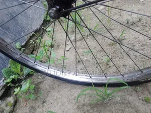 China Cycle