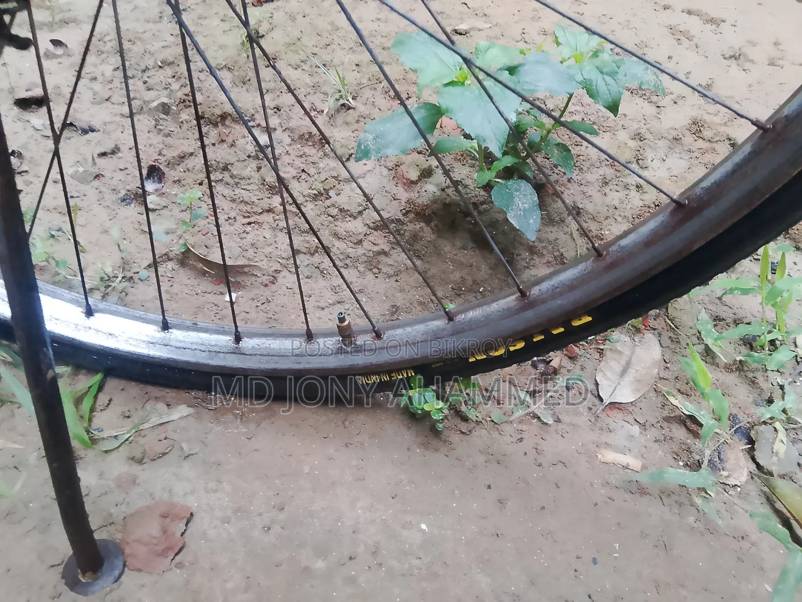 China Cycle