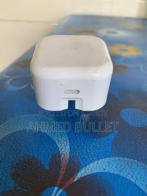 25 Watt Authentic Apple Charger