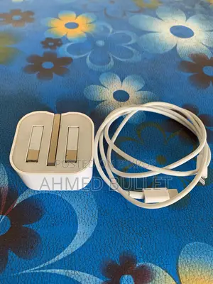 25 Watt Authentic Apple Charger
