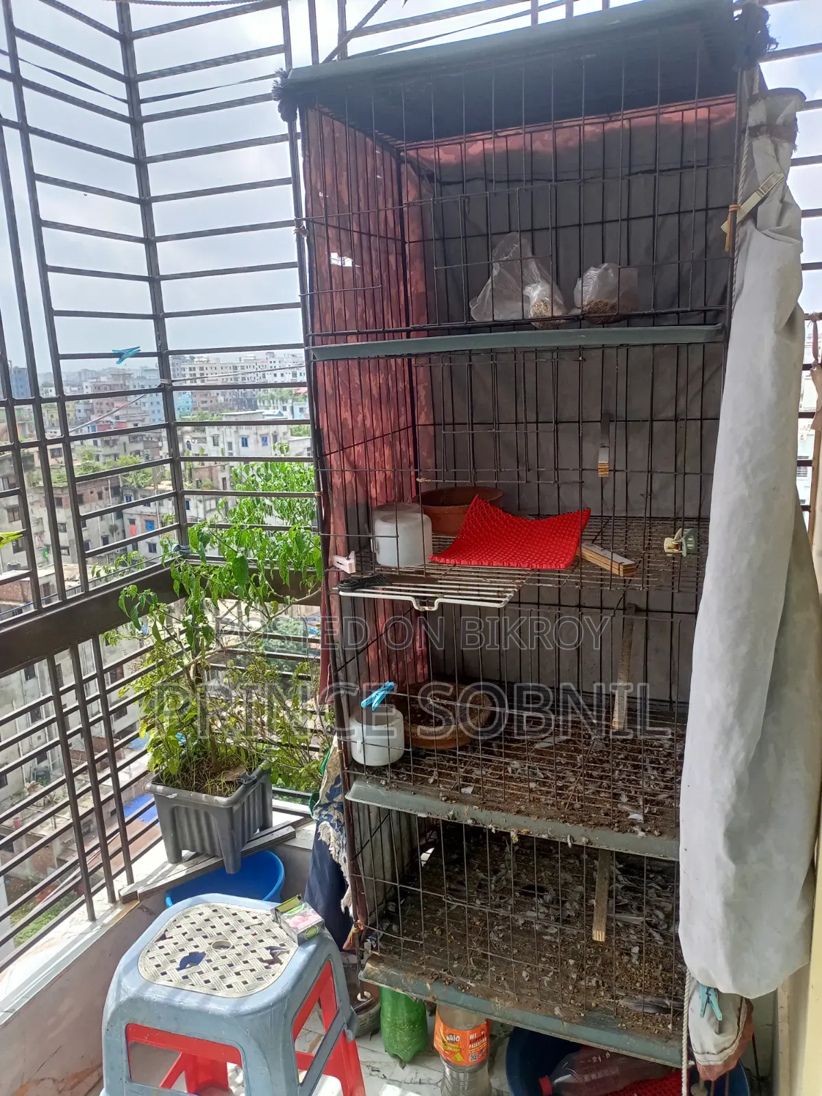 Pigeon Cage for Sale