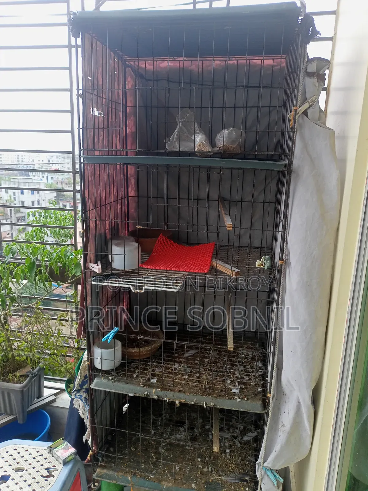 Pigeon Cage for Sale