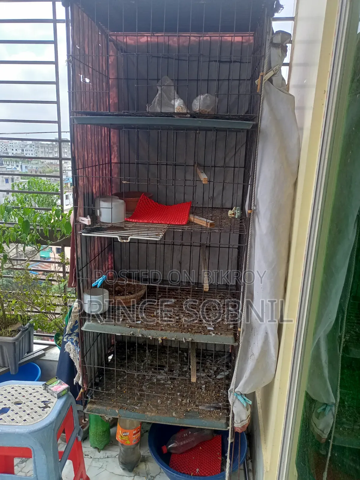Pigeon Cage for Sale