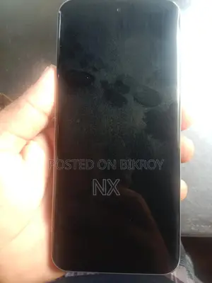ওলা ২৫৬ জিবি সিলভার