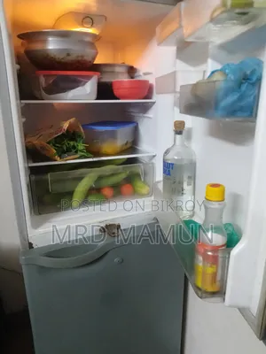 এলজি বাটারফ্লাই ফ্রিজ