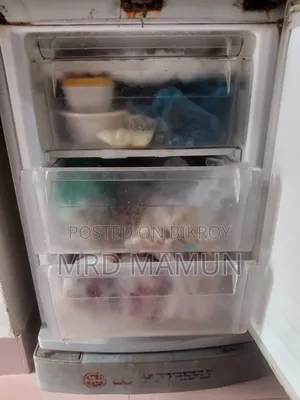 এলজি বাটারফ্লাই ফ্রিজ