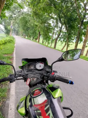 টিভিএস ২০১৩ সবুজ